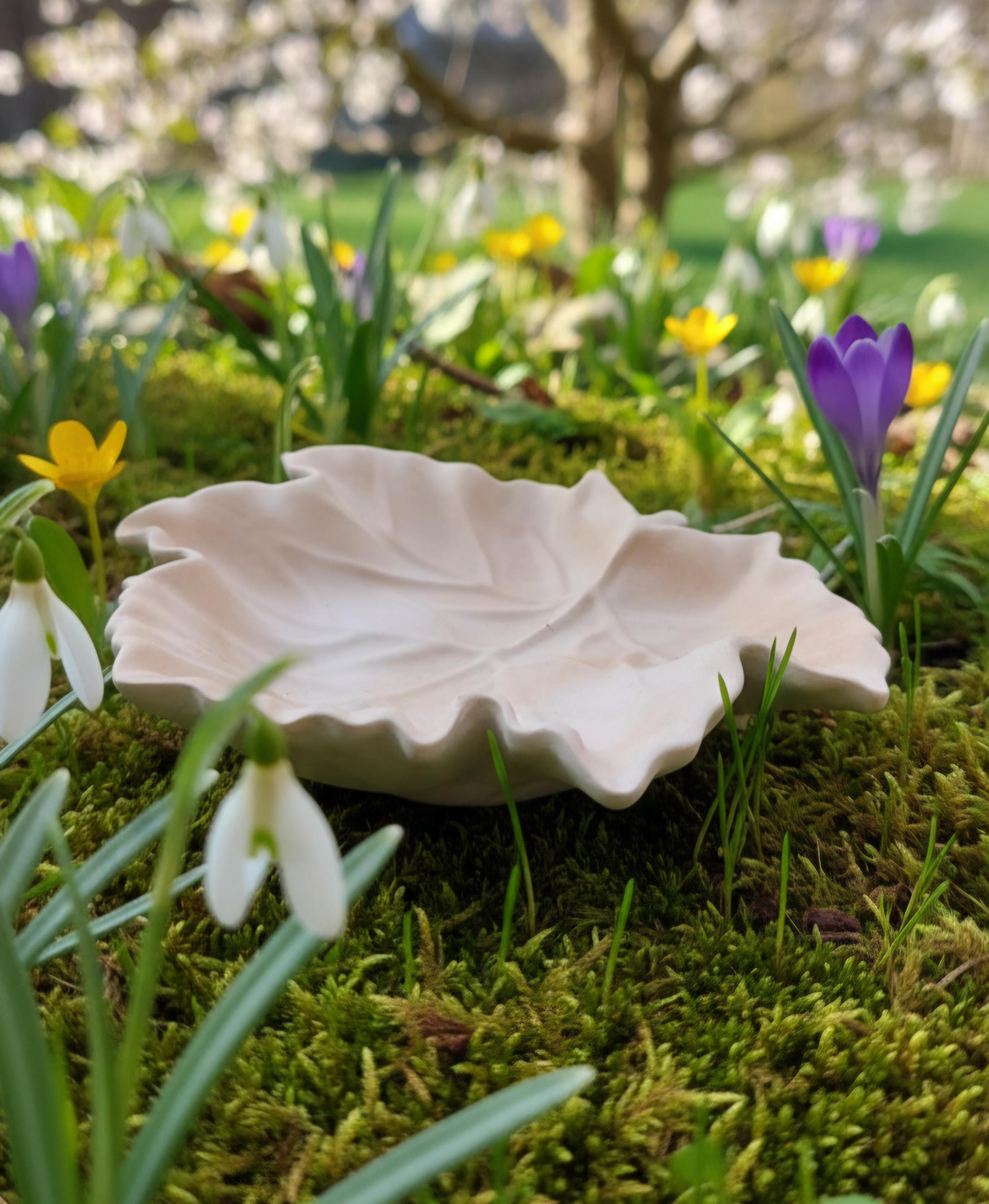 tos-no1a-i-t5fjg24jzw-no/09d3cb786d364df7b02f941a72b748b6