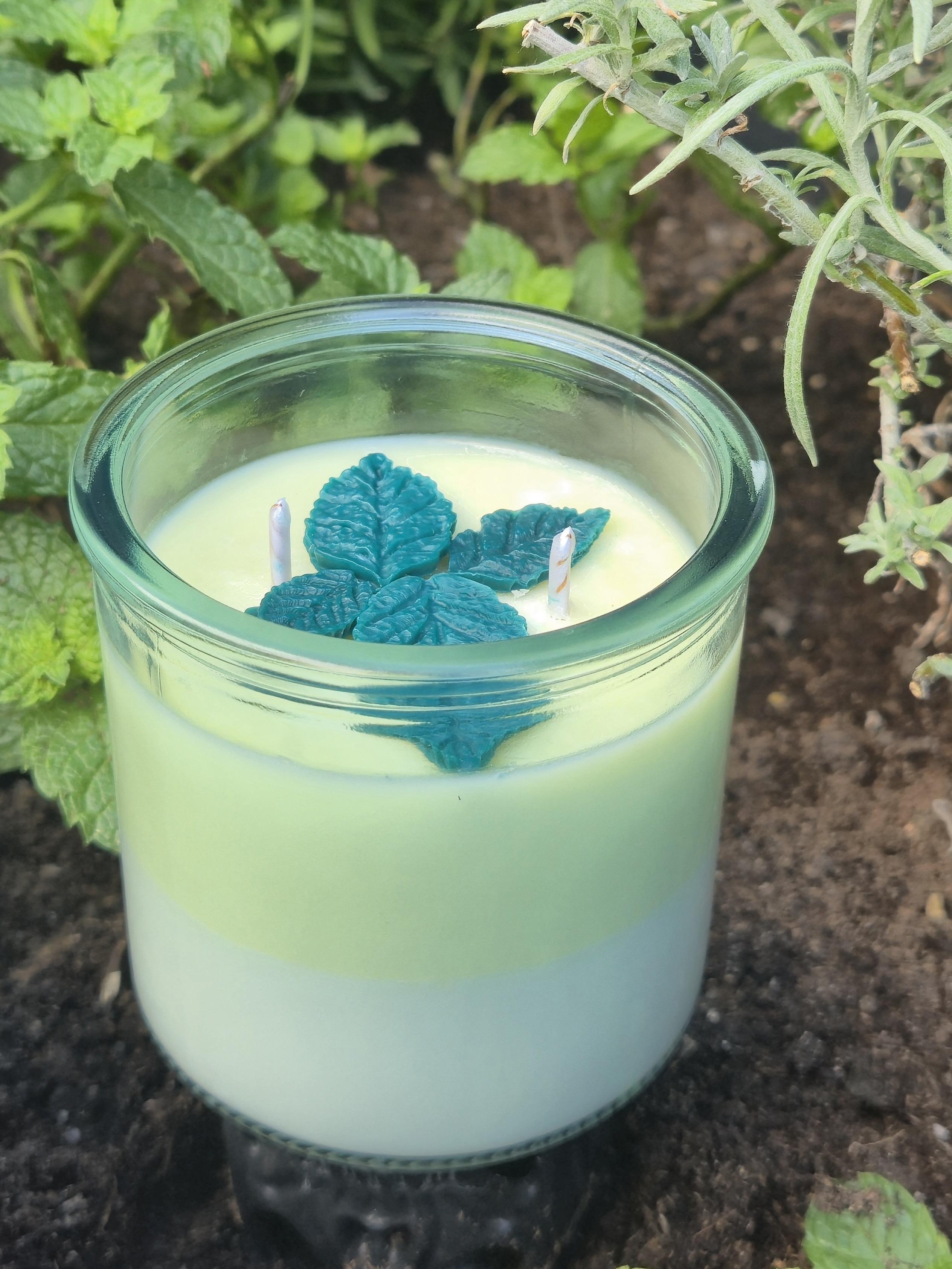 tos-no1a-i-t5fjg24jzw-no/0ac5baa196a747278e906f2a894b52c4