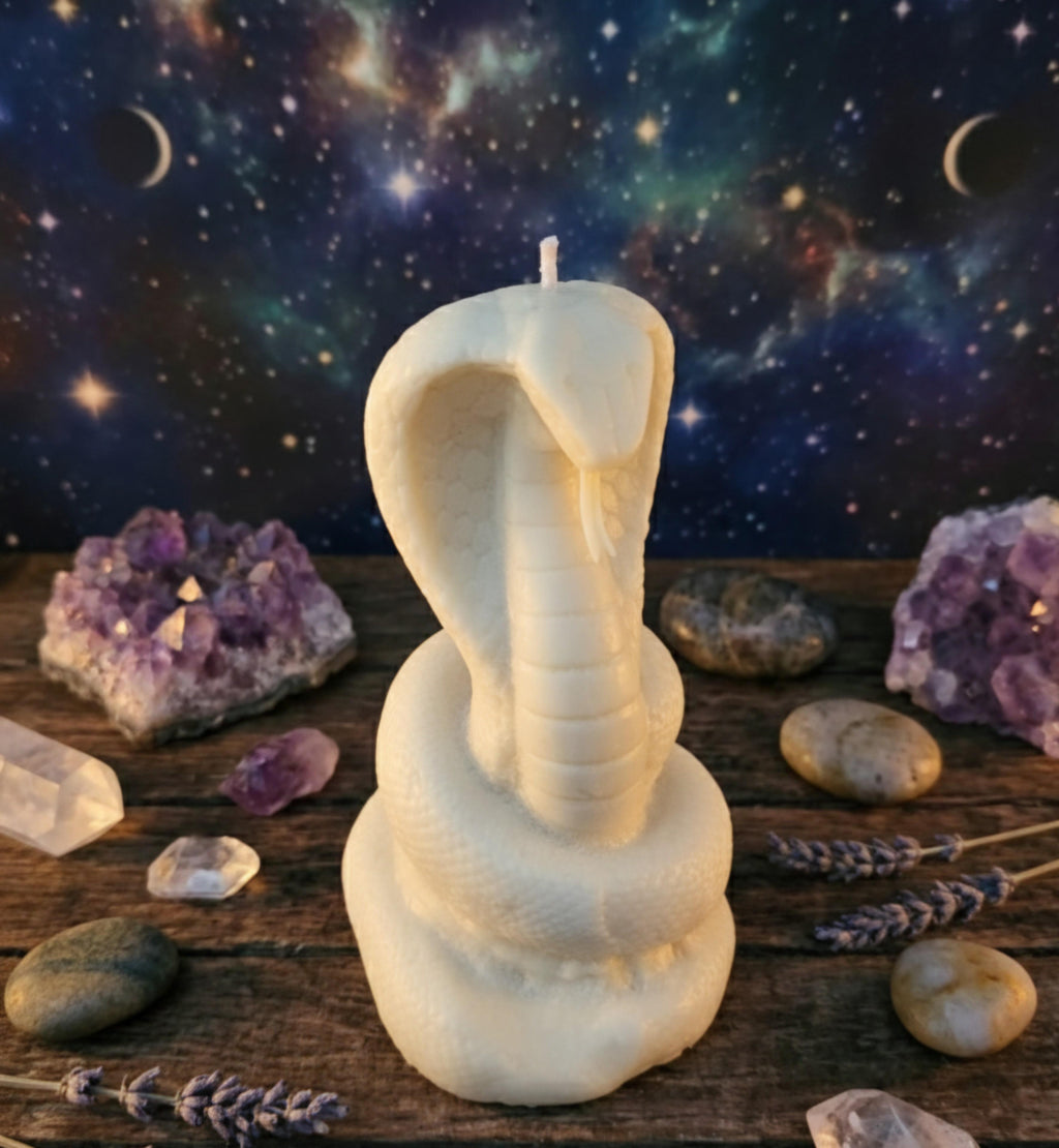 tos-no1a-i-t5fjg24jzw-no/108626f1122d454c945b69e49fe07728