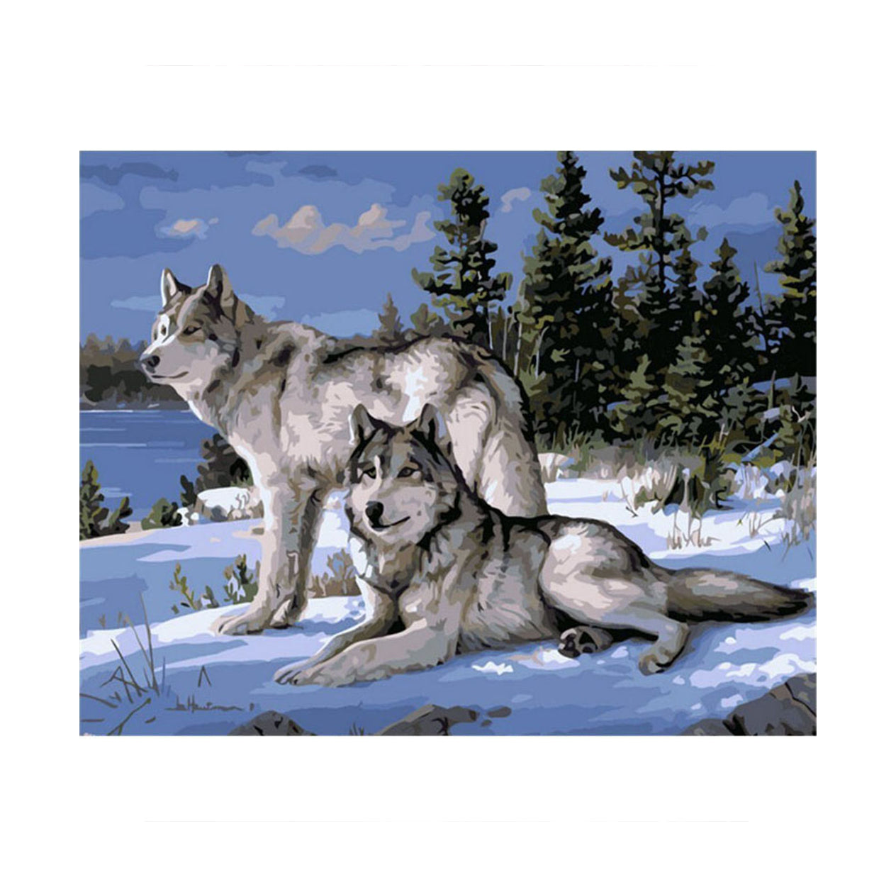 Kit de Pintar por Números para Relajarse y Disfrutar del Proceso Creativo