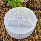 tos-no1a-i-t5fjg24jzw-no/1cf6363eb20344868675d4d5c536704c