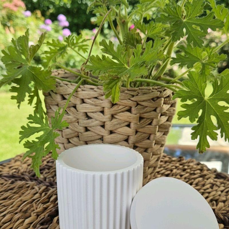 tos-no1a-i-t5fjg24jzw-no/1eb3f479e46141bcb76017bf969f3676