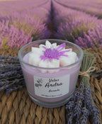 tos-no1a-i-t5fjg24jzw-no/21d61f2783fd435da2ae2ac214e790ce