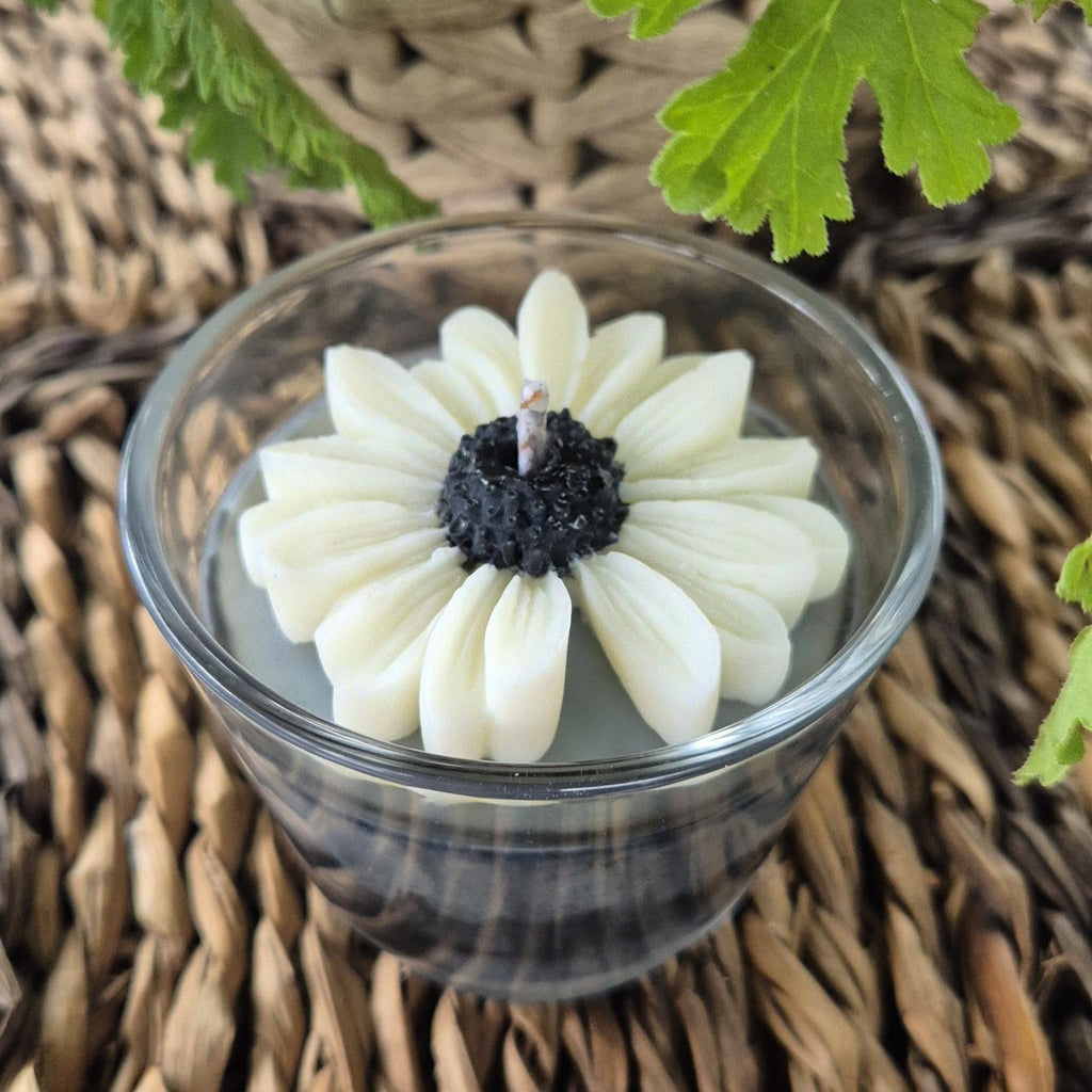 tos-no1a-i-t5fjg24jzw-no/2860ed6770a34ba8bc578ed7d1a62090