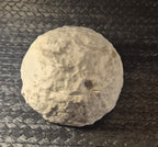 tos-no1a-i-t5fjg24jzw-no/28b7f750928f4343815aafa8e3b3f9f0