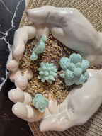 tos-no1a-i-t5fjg24jzw-no/3fd0dc0c51de4a09a0c6a47eeed32eab