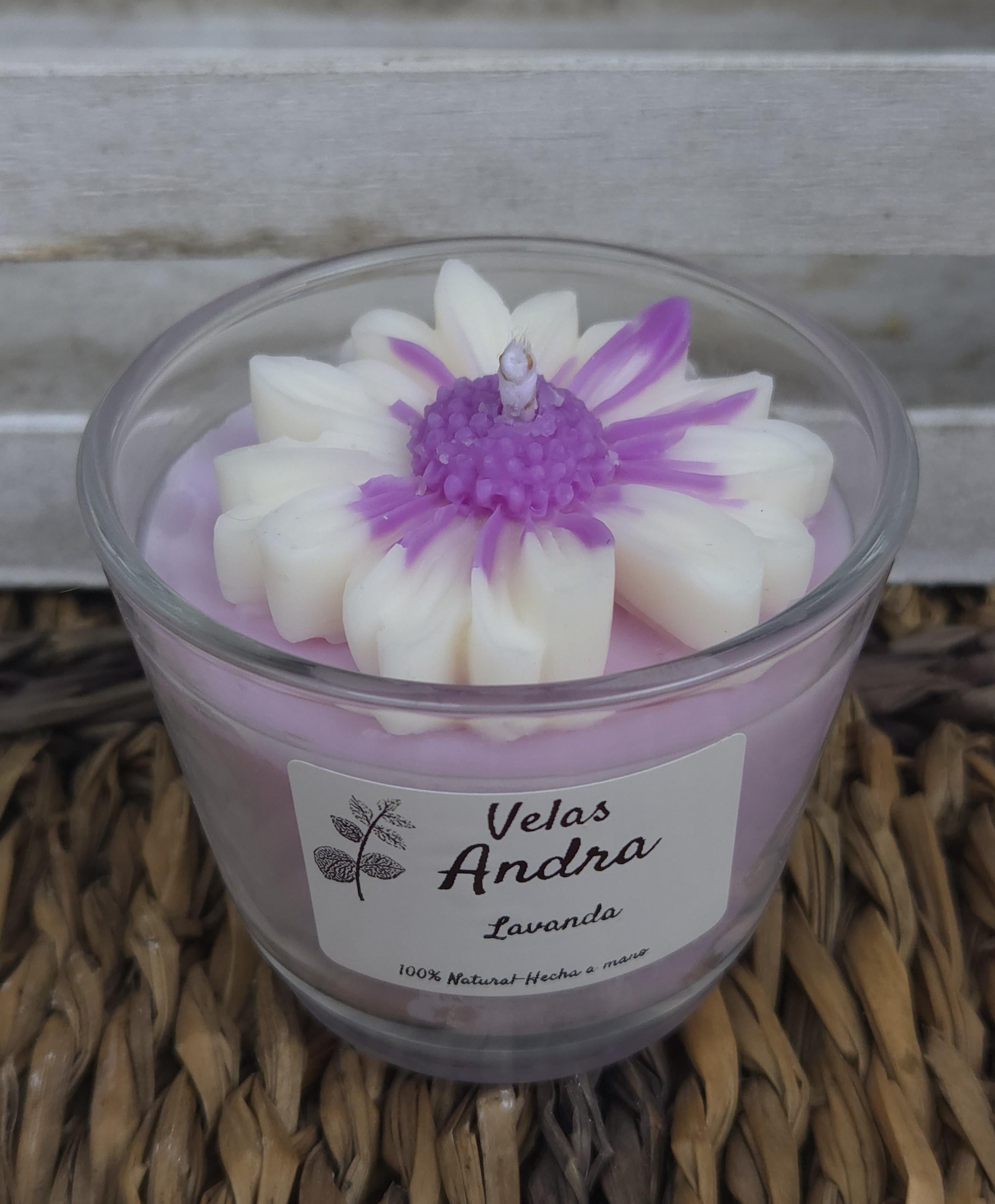 tos-no1a-i-t5fjg24jzw-no/412a0f19faa54e06ac8cfe53787e3153