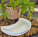 tos-no1a-i-t5fjg24jzw-no/45572007e68f4694912bae2c89e513ef