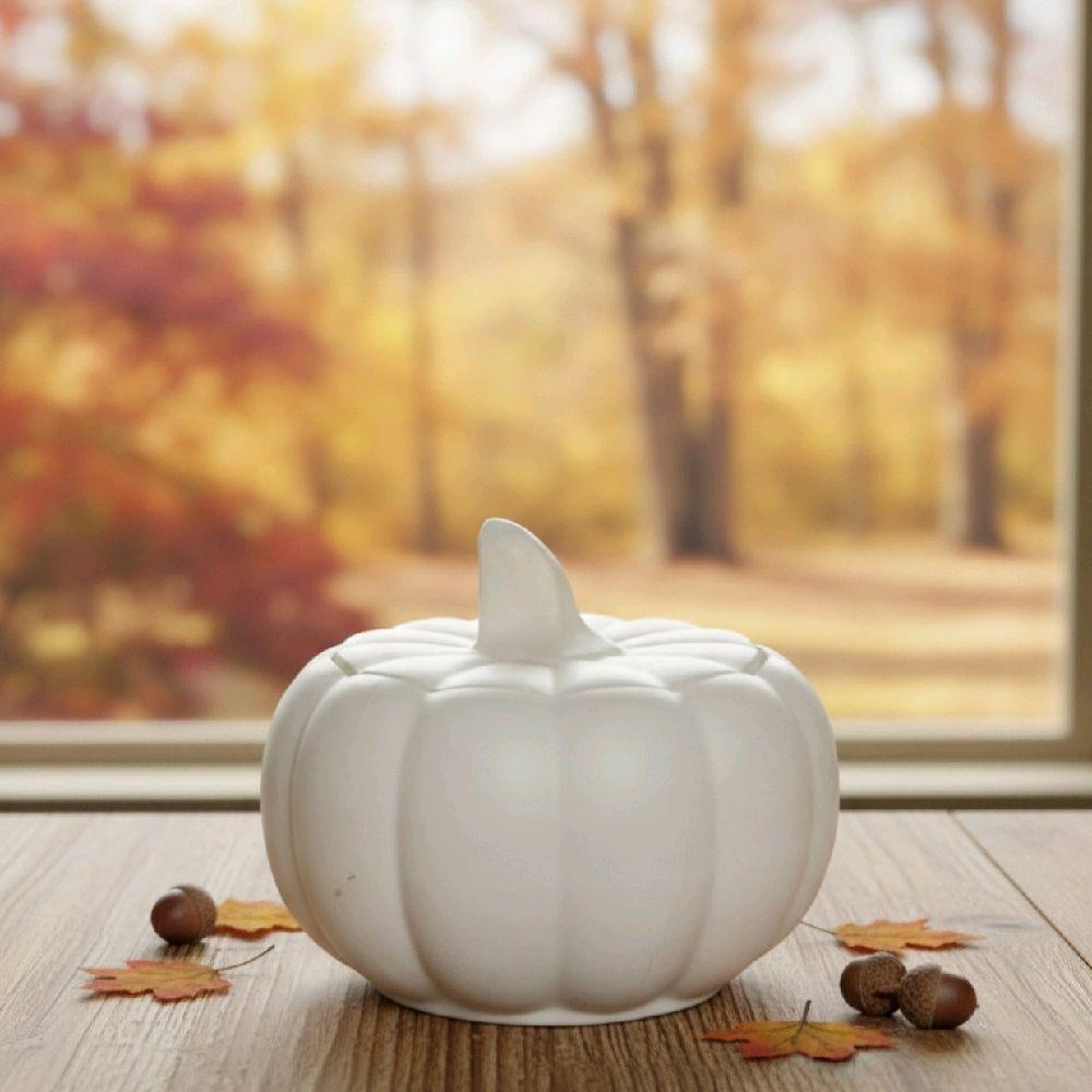 tos-no1a-i-t5fjg24jzw-no/879c9073cb5749cc9b229178b3b408e6