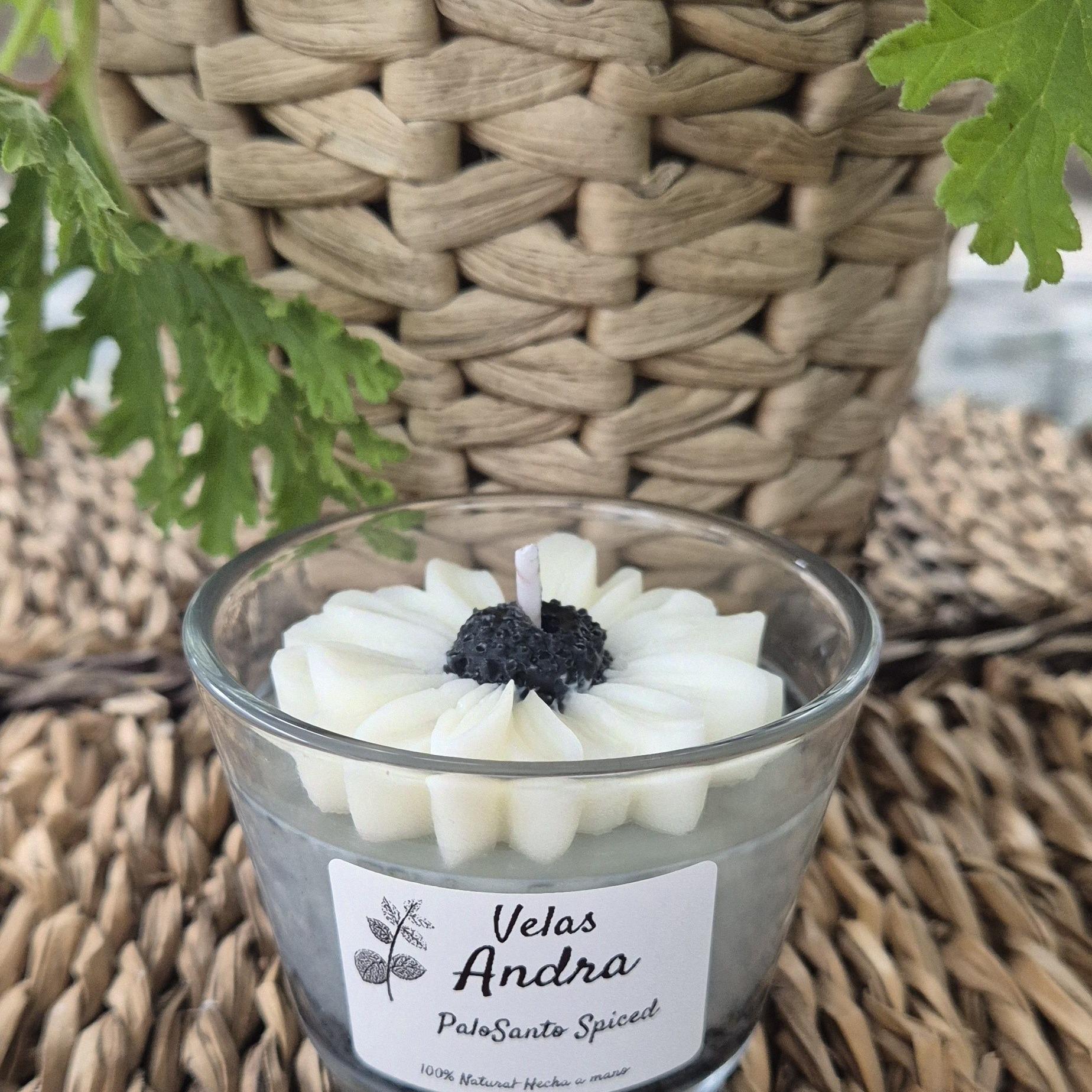 tos-no1a-i-t5fjg24jzw-no/8e726c5b5cc24e9e840971903b9a1f61