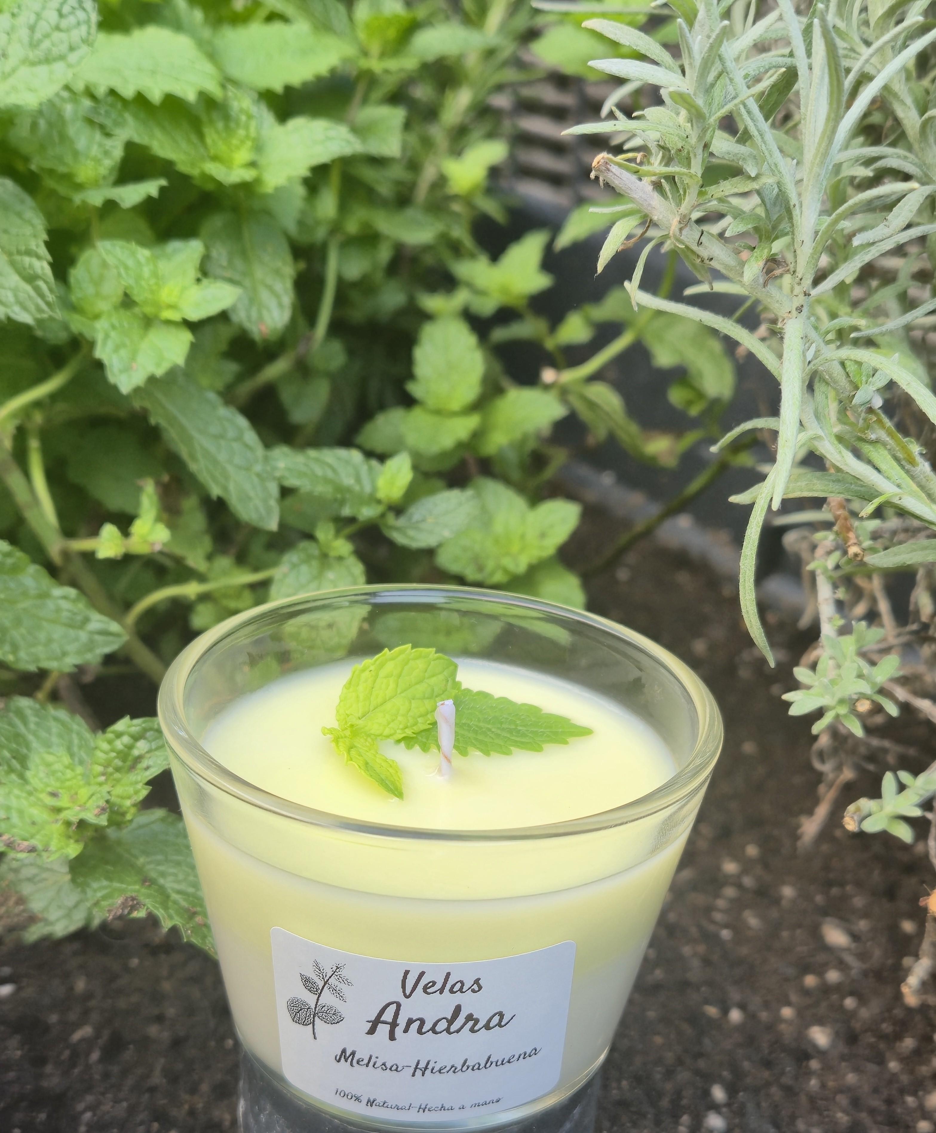 tos-no1a-i-t5fjg24jzw-no/a63b9ef055be4bf68992e214f3c26e9a