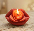 tos-no1a-i-t5fjg24jzw-no/f561cbf203664506b5e916f6c23c7cf6