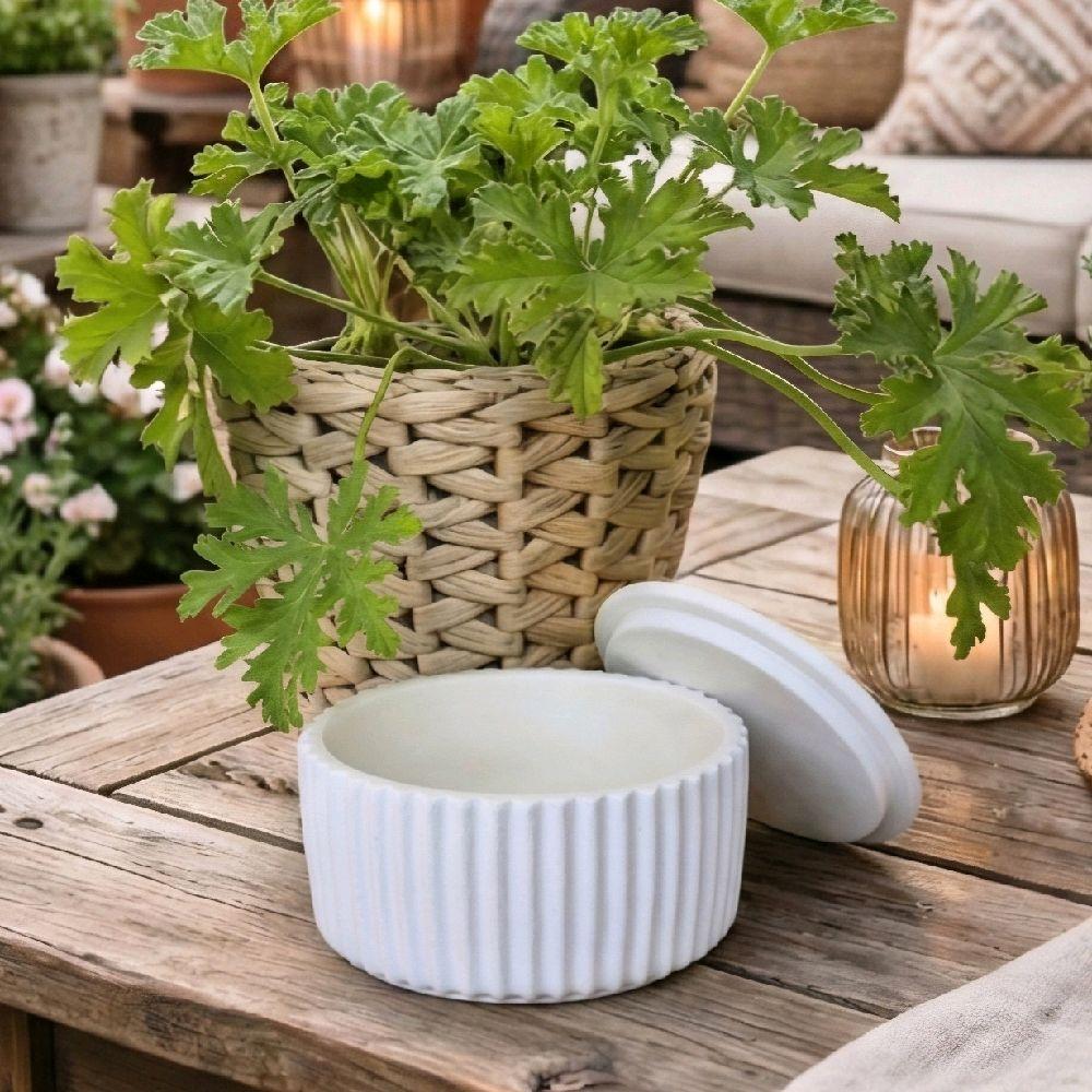 tos-no1a-i-t5fjg24jzw-no/f62e2b0f440b4f8ca80d69f89dd579d4