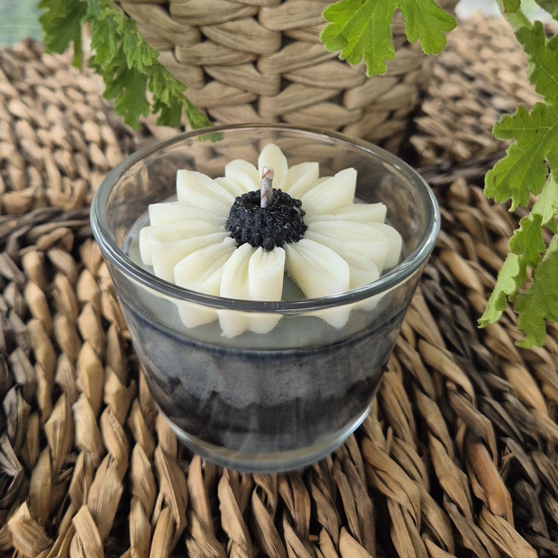 tos-no1a-i-t5fjg24jzw-no/ff8316550daa44f0a08378a617627ca8